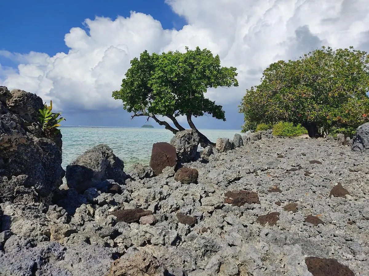 Raiatea - Studio Tenape Tevaitoa